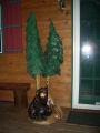 Bear with Pine Trees